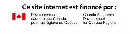 financement-developpement-economique-canada-quebec (1) financement-developpement-economique-canada-quebec (1)